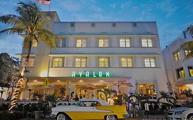 Avalon Miami